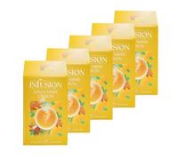 Lot 5x Infusion citron gingembre - Boîte 32g
