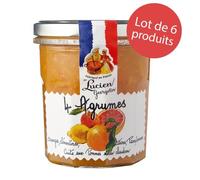 LOT 6 x Préparation 4 Agrumes 320g