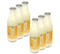 Lot 6x Boisson pour pina colada - bouteille 1L