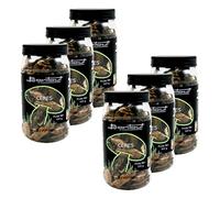 Lot 6x Cèpes classe - Pot 100g