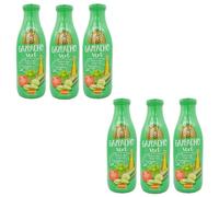 Lot 6x Gaspacho vert - Bouteille 1L
