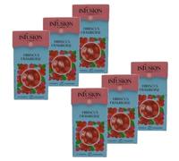 Lot 6x Infusion à froid hibiscus framboise - Boîte 37,5g