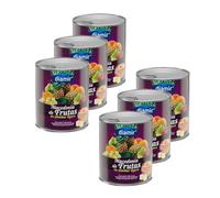 Lot 6x Macédoine de fruits au sirop - 4/4 - Boîte 840g