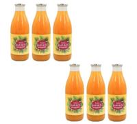 Lot 6x Nectar de fruit de la passion - Bouteille 1L