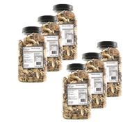 Lot 6x Pleurote - Pot 500g