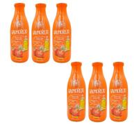 Lot 6x Salmorejo - Bouteille 1L