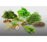 Lot 950 Graines Aromatiques à semer - Le Grenier d'Abondance - spécial poisson - 6 sachets individuels