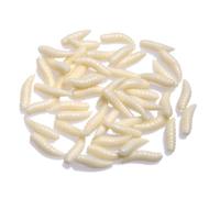 Lot D'appâts Souples Pour La Pêche, Pack D'appâts Pour Attraper Des Poissons, Pour Les Vers, Pour Les Maggots, 1.6cm, 50 Pièces, Bonne Affaire