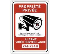 Lot de 1 18x13 cm Panneau Avertissement Surveillance Vidéo "Propriété Privée" en PVC Rigide Adhésif + 4 Colliers | Intérieur/Extérieur Résistant | Installation Rapide sans Perçage (1)