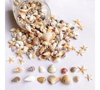 Lot de 1 200 petits coquillages et 10 petites étoiles de mer - Mélange de coquillages en spirale pour aquarium et remplissage de vase, fête sur le thème de la plage, décoration de mariage -