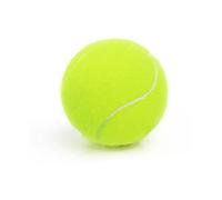 Lot de 1 à 40 balles de tennis haute élasticité, balles de tennis d'entraînement pour entraînement et compétition, taille standard, 6,3 cm, caoutchouc souple pour débutants, chiens, animaux