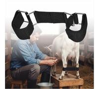 Lot de 1 entraves réglables pour chèvres (pour support de traite) - Sangles de contention en nylon durable avec boucle métallique - Dispositif anti-ruade pour chèvres laitières, naines du Nigeria et N