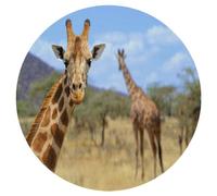 Lot de 1 set de table rond imprimé girafe africaine, résistant à la chaleur, facile à nettoyer, antidérapant, en PVC, pour cuisine, salle à manger