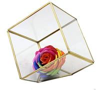 Lot de 1 terrarium géométrique carré à découper sur pied en verre pour plantes grasses, fougères, cactus (doré)