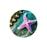 Lot de 10/24 désodorisants à suspendre en forme d'étoile de mer et de lavande pour intérieur de voiture