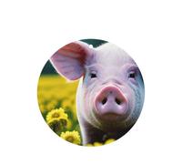 Lot de 10/24 désodorisants ronds à suspendre Motif cochon de viol Parfum lavande Pour intérieur de voiture
