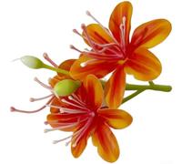 Lot de 10 accessoires de tête de fleur à motif jasmin conçus avec de la colle douce pour les travaux manuels de mariage, la décoration d'intérieur et la configuration d'événements (orange-jaune)