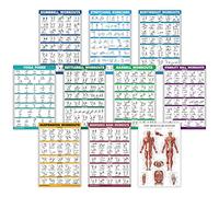 Lot de 10 affiches d'entraînement - Haltères, suspension, kettlebell, bandes de résistance, étirements, poids corporel, haltères, postures de yoga, ballon d'exercice, tableau du système musculaire