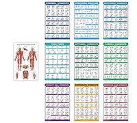 Lot de 10 affiches d'entraînement - Haltères, suspension, kettlebell, bandes de résistance, étirements, poids corporel, haltères, postures de yoga, ballon d'exercice, système musculaire (papier, non