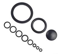 Lot de 10 anneaux d'étanchéité en caoutchouc pour pulvérisateur à pression de jardin, convient pour réservoirs de 3 L, 5 L, 8 L, noir