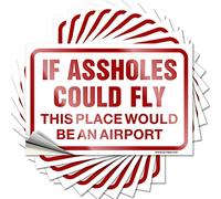 Lot de 10 autocollants amusants « If Assholes Could Fly This Place Would Be an Airport » pour bar à domicile (8 x 12 cm)