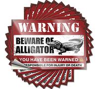 Lot de 10 autocollants amusants pour pare-chocs avec inscription « Beware of Alligator » (6 x 9 cm)