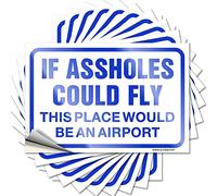 Lot de 10 autocollants amusants pour voiture avec inscription « If s Could Fly This Place Would Be an Airport » (6 x 9 cm)