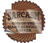 Lot de 10 autocollants amusants pour voiture Motif sarcasme « One of The Many Services I Offer » - Pour décoration d'intérieur (8 x 12 cm)