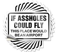 Lot de 10 autocollants amusants pour voitures « If Assholes Could Fly This Place Would Be an Airport » pour garage et boîte à outils (12 x 18 cm)