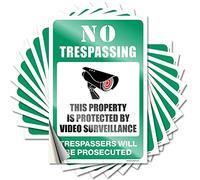 Lot de 10 autocollants amusants pour voitures « No Trespassing » - This Property is Protected by Video Surveillance - Autocollants amusants pour porte de grotte (6 x 9 cm)