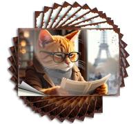 Lot de 10 autocollants de voiture pour homme Motif chat curieux à Paris : une aventure littéraire - Autocollants amusants pour pare-chocs (6 x 9 cm)