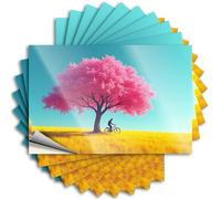 Lot de 10 autocollants et décalcomanies pour boîte à outils « A Person Rides A Bicycle Under A Pink Flowers Tree in A Golden Field » - Autocollants amusants pour fenêtre de voiture (6 x 9 cm)