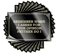 Lot de 10 autocollants holographiques en vinyle avec bande métallique « Remember When I Asked for Your Opinion, Neither Do I », autocollants résistants pour bouteille d'eau/porte (8 x 12 cm)