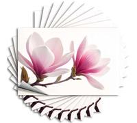 Lot de 10 autocollants pour boîte à outils avec deux fleurs de magnolia en pleine floraison (8 x 12 cm)