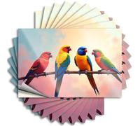 Lot de 10 autocollants pour boîte à outils, quatre perroquets colorés perchés sur une branche (6 x 9 cm)