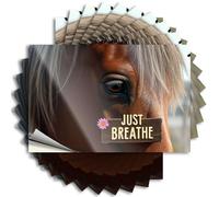 Lot de 10 autocollants pour pare-chocs Relax, Take A Deep Breath, and Enjoy The Moment. Autocollants amusants pour pare-chocs (12 x 18 cm)