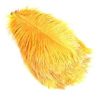 Lot de 10 autruches colorées pour accessoires de photographie, arrangements floraux, loisirs créatifs, décoration de mariage