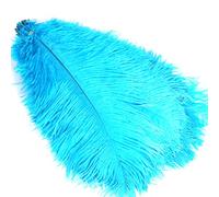 Lot de 10 autruches colorées pour accessoires de photographie, arrangements floraux, loisirs créatifs, décoration de mariage