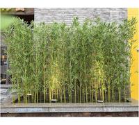 Lot de 10 bambous artificiels pour l'extérieur, 1,5 m de hauteur, plante - Parfait pour la décoration de jardin, l'aménagement paysager et les solutions d'intimité en plein air.