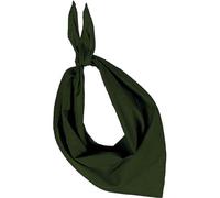 Lot De 10 Bandanas Fiesta - Vert Olive