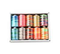 Lot de 10 bobines de fil à coudre multicolores en polyester pour machine à coudre - 914 m - Bobines de fil multi-usages avec étui pour débutants