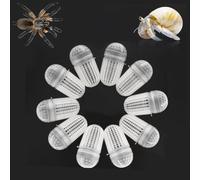 Lot de 10 boîtes de transport en plastique respirant pour ermite, crabe, tarentule, scorpion, mille-pattes, petits reptiles