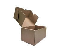 Lot de 10 boîtes en carton kraft auto-montantes avec fermeture à encastrement - Boîte cadeau ou expédition - Boîtes résistantes en carton ondulé (10 x 10 x 5 cm)