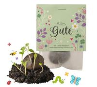 Lot de 10 bombes à graines « Alles Gute » - Petit cadeau & petit cadeau - Bombes à graines pour collègues, amis et enfants - Bombes à fleurs avec graines de fleurs et boules de semences - Bombes de