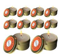 Lot de 10 bougies de survie pour le camping - Bougies résistantes au vent, sans fumée, inodore, étanche pour les pannes de courant, les catastrophes et l'utilisation en extérieur | Prévention des