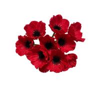 Lot de 10 bouquets de fleurs artificielles de coquelicots rouges, 28 cm, anémone en polyuréthane au toucher réaliste, pour cuisine, centre de table, vase, maison, verdure, mariage, toile de fond, mur