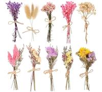 Lot de 10 Bouquets Mini Fleurs séchées Naturelles, 4,5 à 5,3 in / 11,4 à 13,5 cm, Petites compositions Florales légères, pour Vase, décoration de Mariage DIY, Cadeau Saint-Valentin