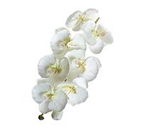 Lot de 10 branches d'orchidée papillon artificielles, 70 cm, fausses fleurs phalaenopsis avec longue tige, fleurs d'orchidées pour la maison, le bureau, une fête, un mariage, 8 têtes, blanc