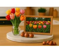 Lot de 10 Bulbes de TULIPE MULTICOLORE - Bulbe de printemps - Calibre 10/11 - Fleur Jardin - 864