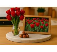 Lot de 10 Bulbes de TULIPE ROUGE - Bulbe de printemps - Calibre 10/11 - Fleur Jardin - 857